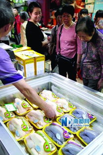 广州66个档口开售冰鲜鸡，市民反应各异 有人观望，有人直呼“太贵了！”