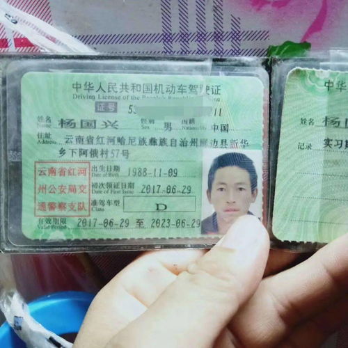 街市深深，寻亲路漫漫——一位爷爷的家乡情与法律困境